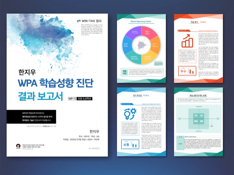 기초 학력 능력 검사 교육/자격증